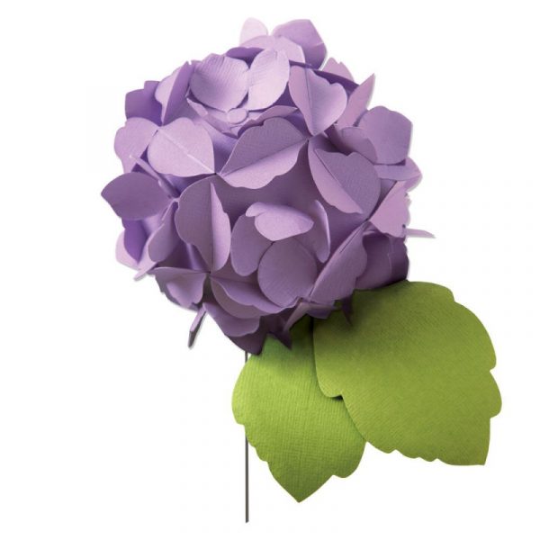 Fustlla Hydrangea buy sizzix