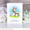 my-favorite-things-a-very-sweet-somebunny-clear-stamps